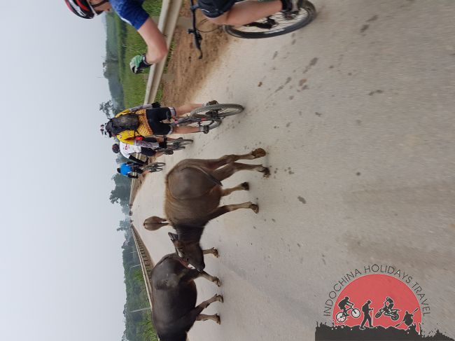 10 days Ho Chi Minh Cycling to Hanoi 4