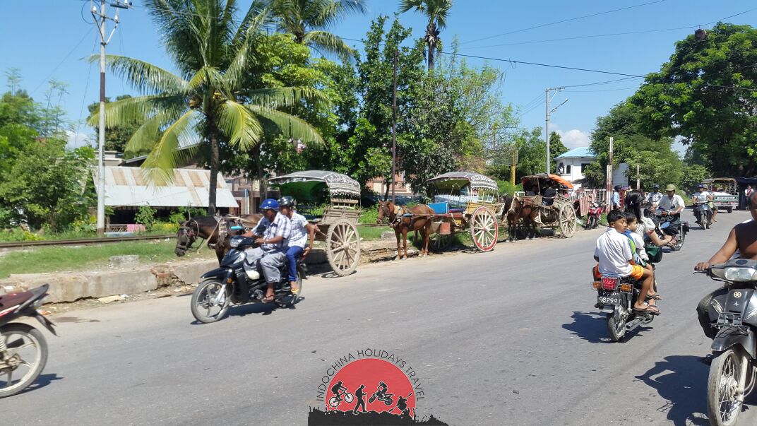 Biking to Halong -Catba island -Cuc Phuong -Mai Chau - 6 Days 1