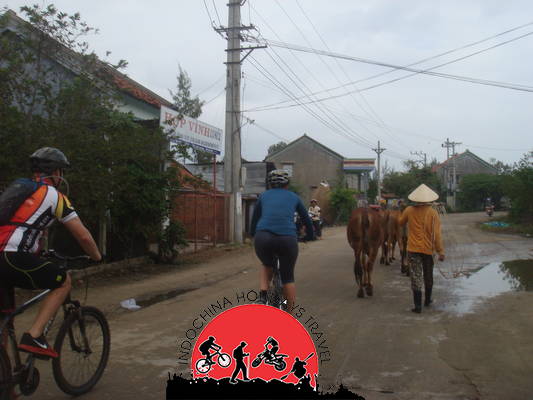 Hanoi Cycle to Hoian along the coastlines - 9 Days 4